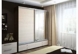 Шкаф-купе Ольга 1900