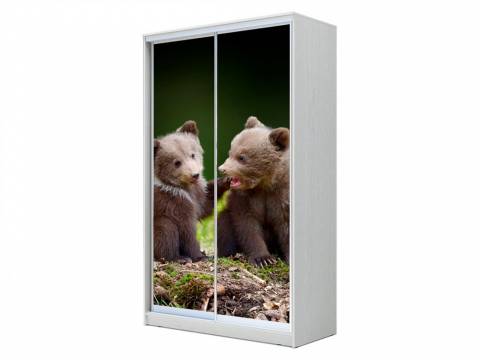 Шкаф-купе Хит 23-15-77 фото 25