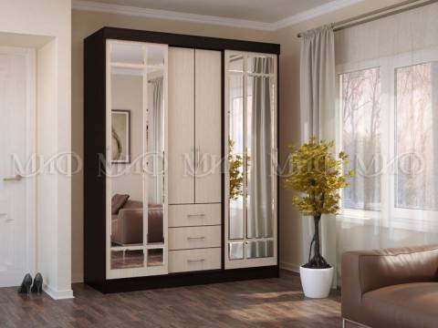 Шкаф-купе Маэстро Дуб беленый, венге